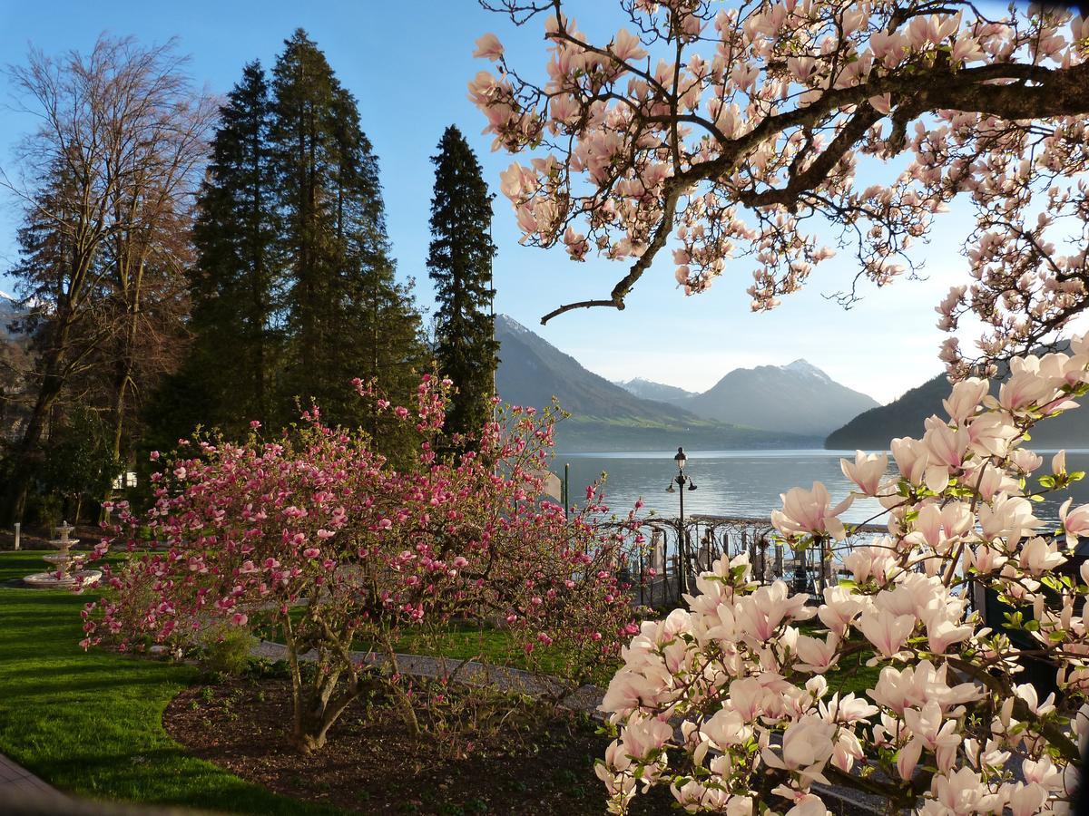 Hotel Vitznauerhof - Lifestyle Hideaway At Lake Lucerne Quarto foto